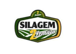 Silagem 2 Irmãos
